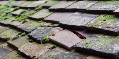 Silsoe roof repair costs